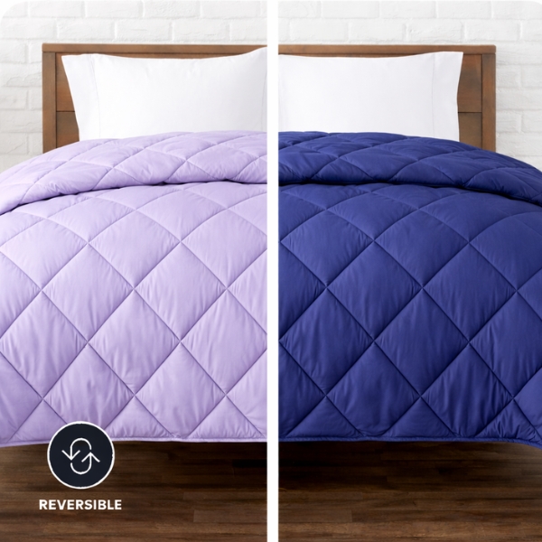 Blueberry / Lavender