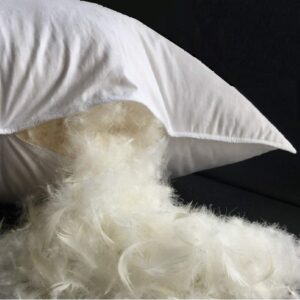 Feather Pillow